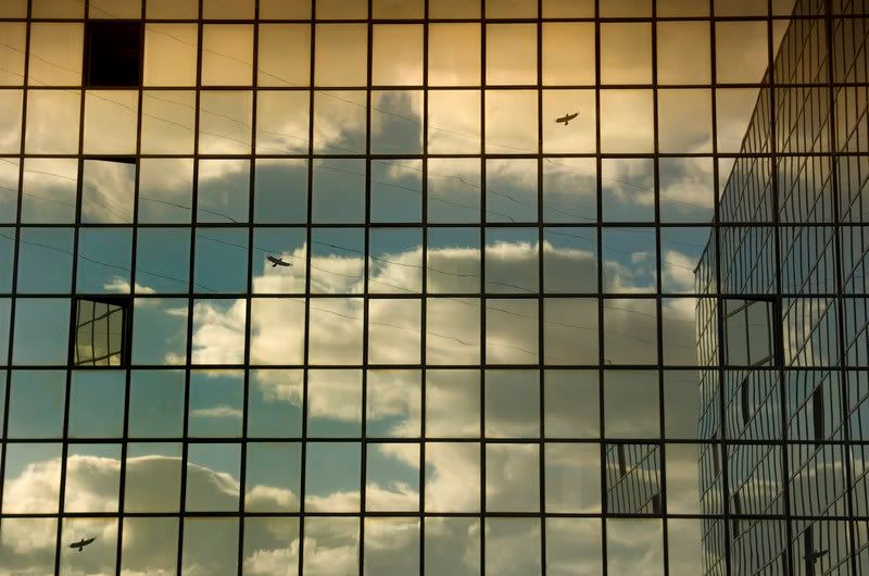 Immagine ridimensionata: clicca sull'immagine per vederla con le dimensioni originali.