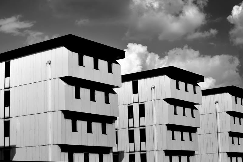 Immagine ridimensionata: clicca sull'immagine per vederla con le dimensioni originali.