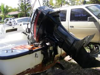IMGP2311.jpg