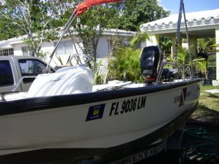 IMGP2312.jpg