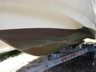IMGP2316.jpg