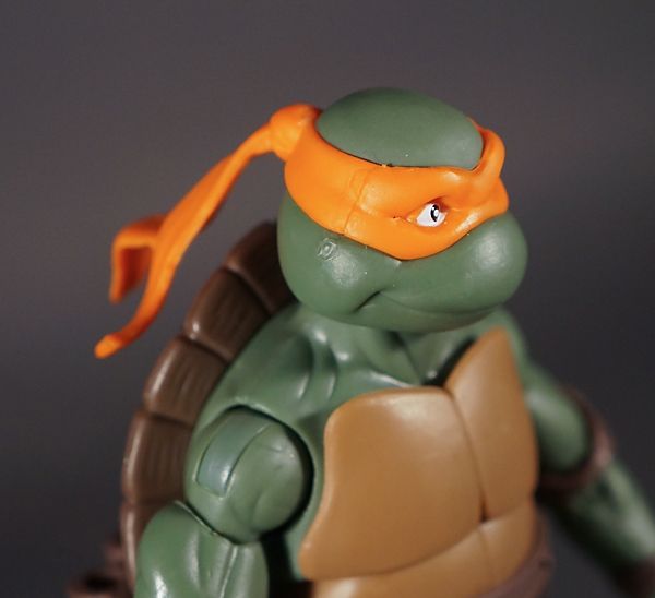  photo turtles19_zpse163a3e5.jpg