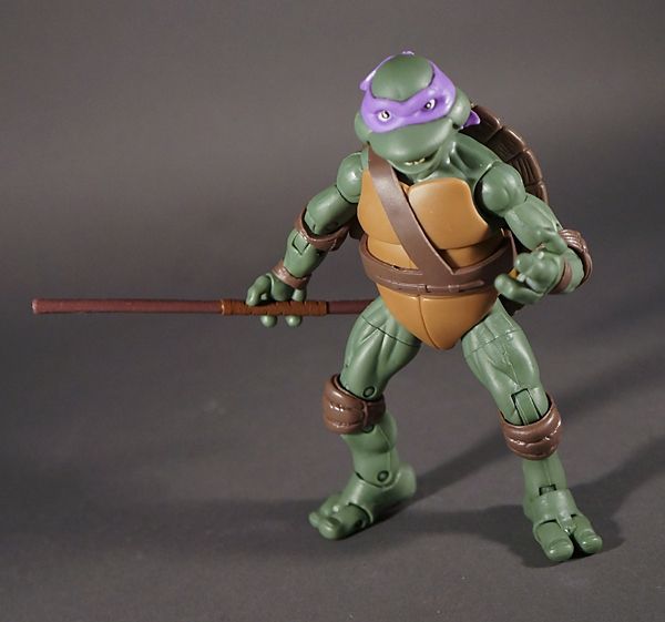  photo turtles52_zpse1350ff4.jpg