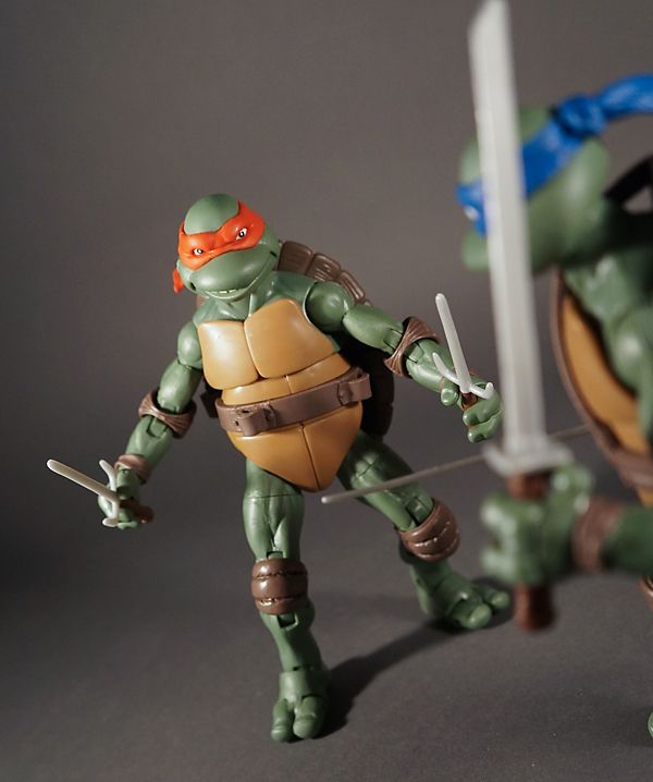  photo turtles73_zps4c85b2b0.jpg