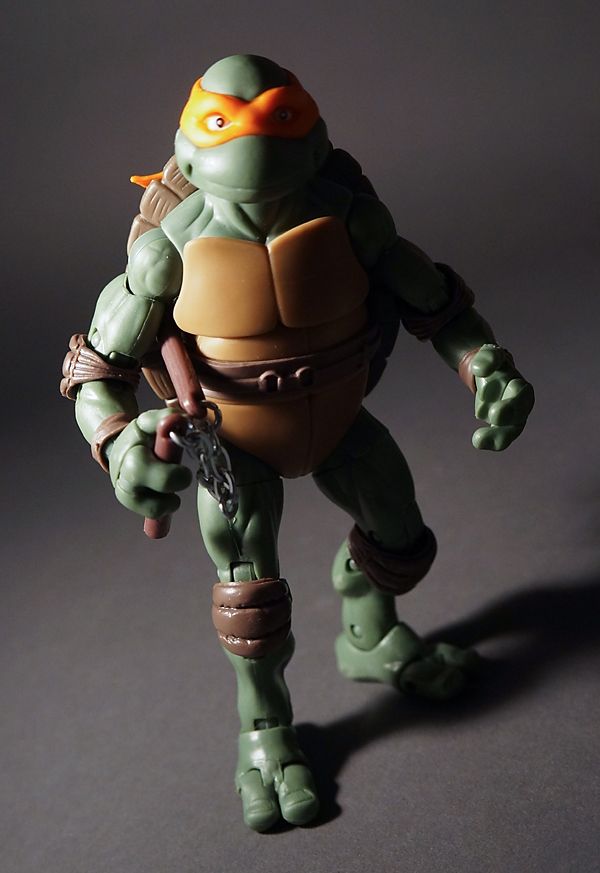  photo turtles76_zpsb1e01365.jpg