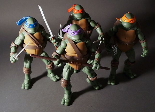  photo turtles79_zpsaee6c71a.jpg