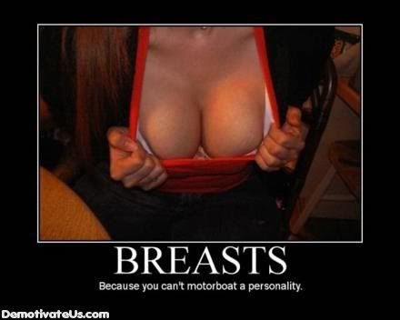 http://i57.photobucket.com/albums/g222/toycoma/poon/breasts-demotivational-posters.jpg