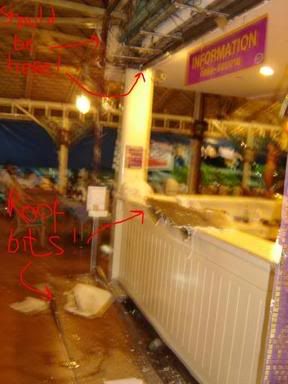 The roof! The roof! The roof is all wet!