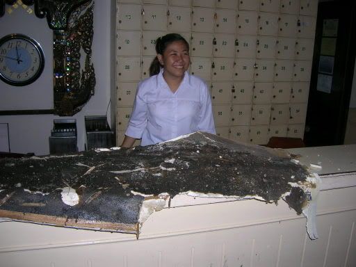 Dudes. Seriously, it's only a roof!