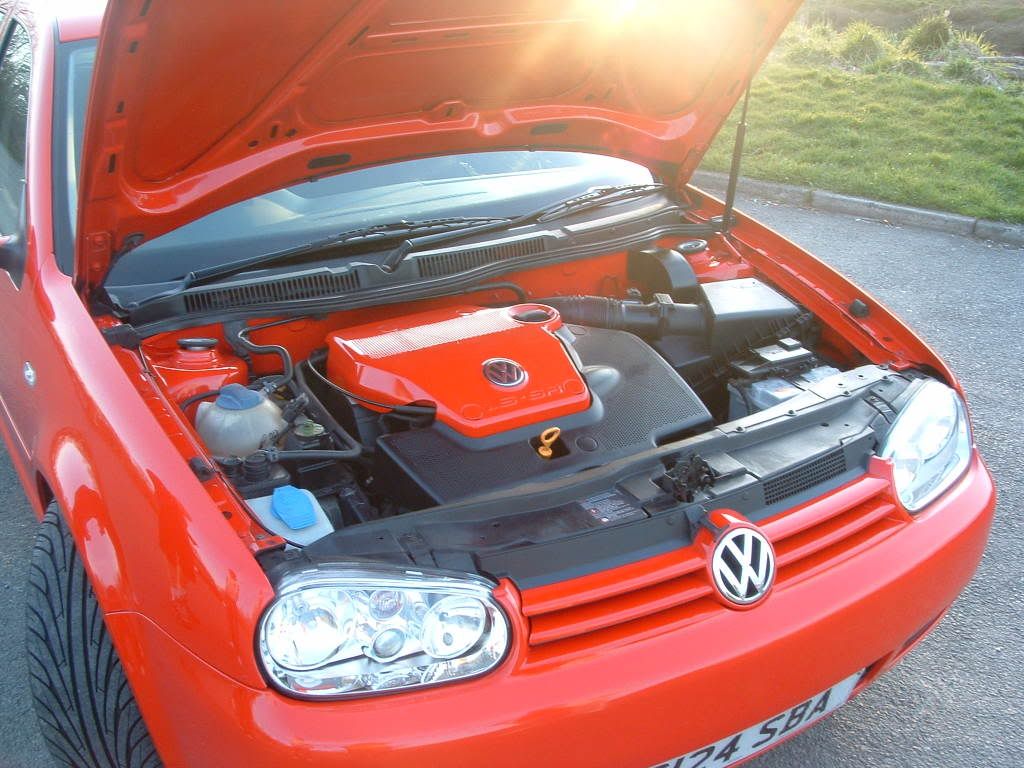 Posted Image