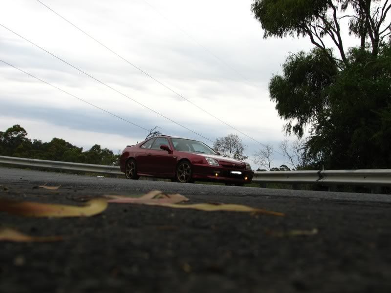 IMAGE: http://i57.photobucket.com/albums/g223/brash22/IMG_3884.jpg