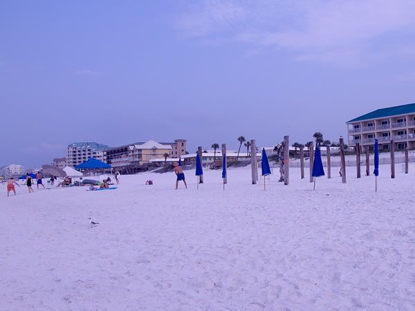cbp1.jpg