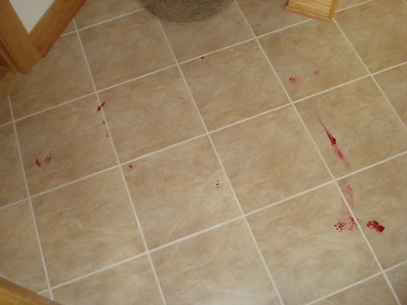 DSC04553.jpg picture by mwallace1982