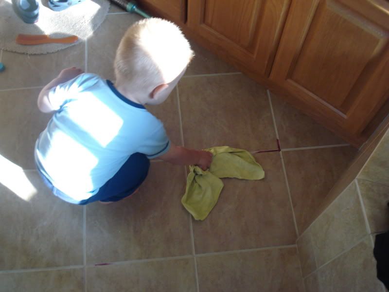 DSC04557.jpg picture by mwallace1982