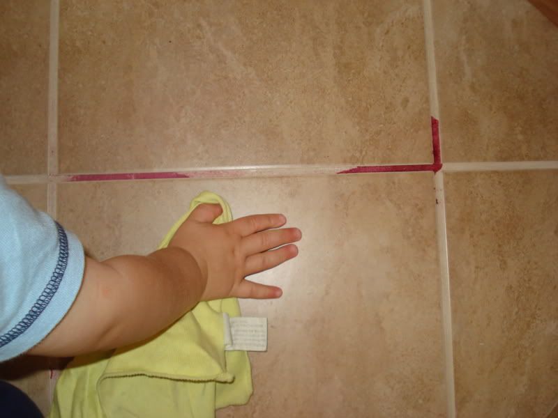 DSC04560.jpg picture by mwallace1982