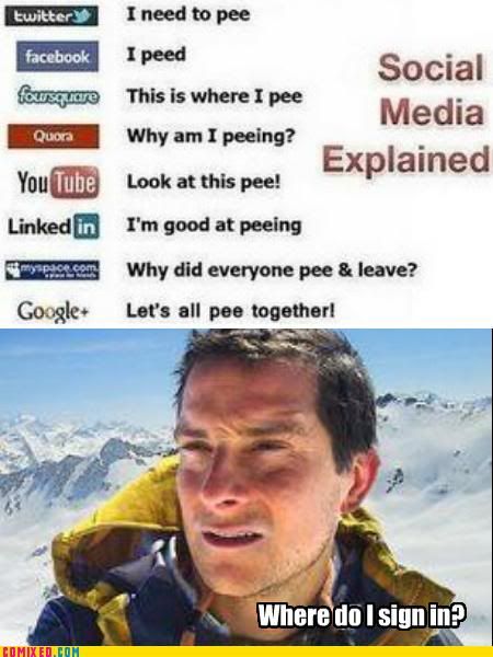 [Image: Bear-SocialMedia.jpg]