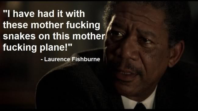 [Image: troll-quote-34-650x366.jpg]