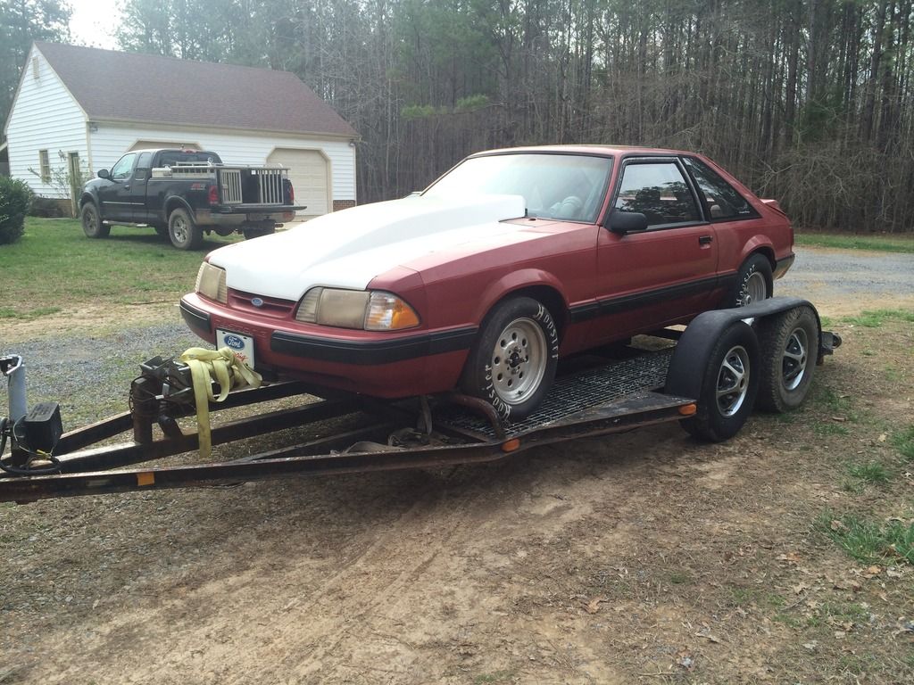 [Image: IMG_4149_zpsas8bkzyw.jpg]