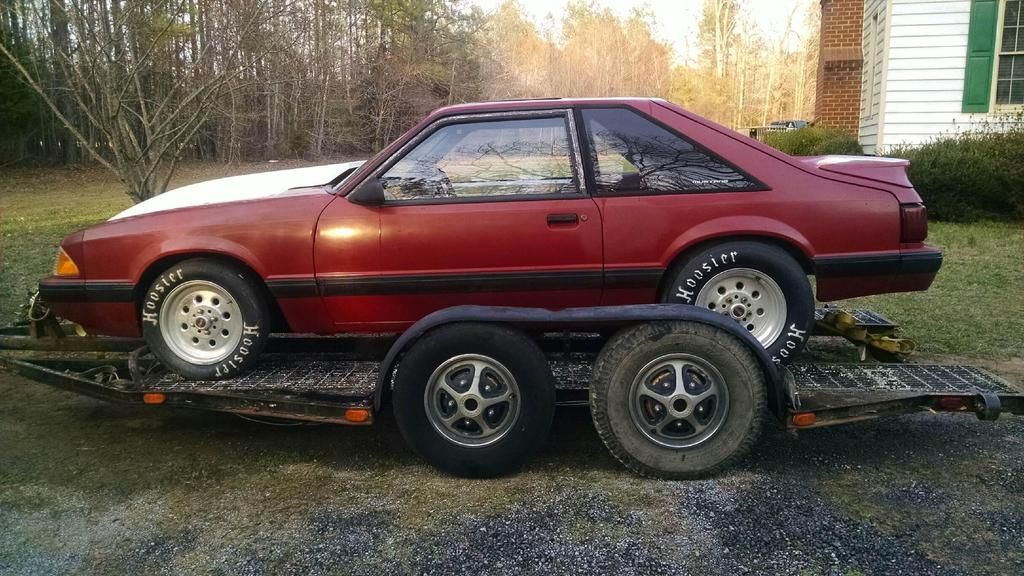 [Image: IMG_4156_zps69vg2gld.jpg]