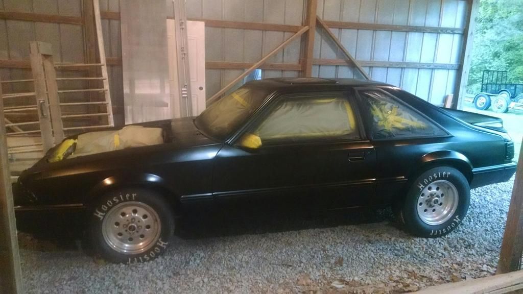 [Image: IMG_4171_zpsmhzvxl5d.jpg]