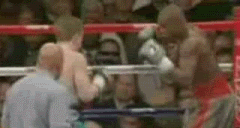 pbfhatton.gif