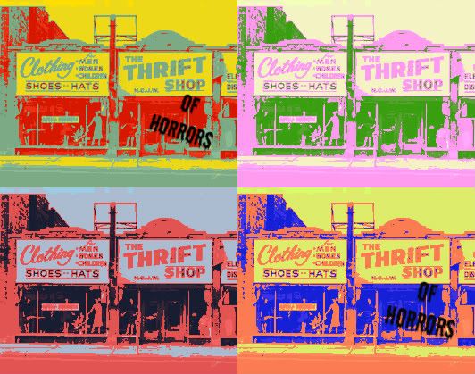 ThriftShop-1.jpg picture by cornrock