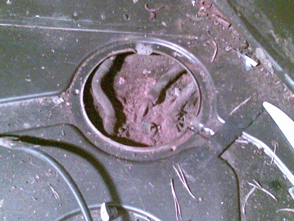 21052007009.jpg