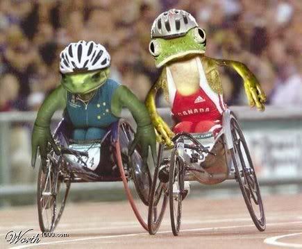 435_frogwheelchair.jpg