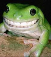 froggrin.jpg