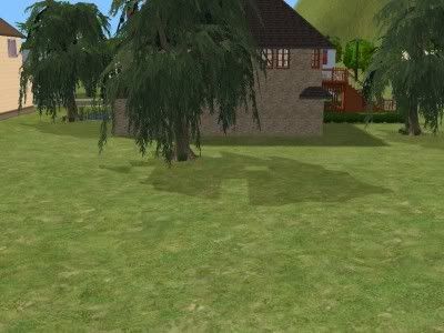 snapshot_f22bffc9_726ccf42.jpg
