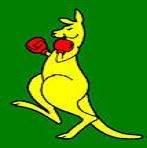 boxing-kangaroo.jpg