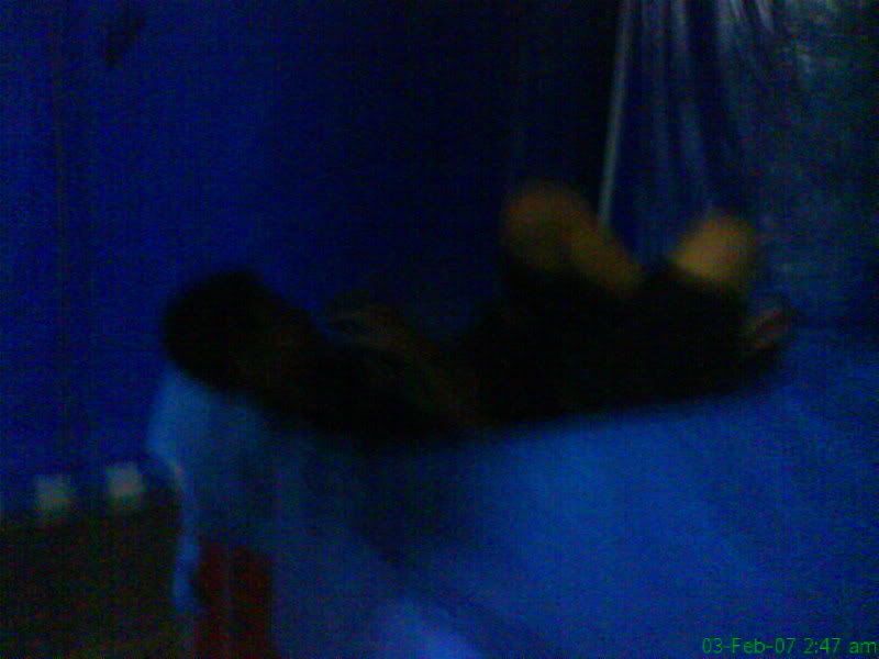 Photobucket - Video and Image Hosting