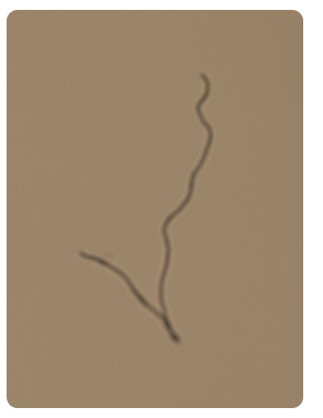 photo 05062013_11_zpsb1a04c88.png