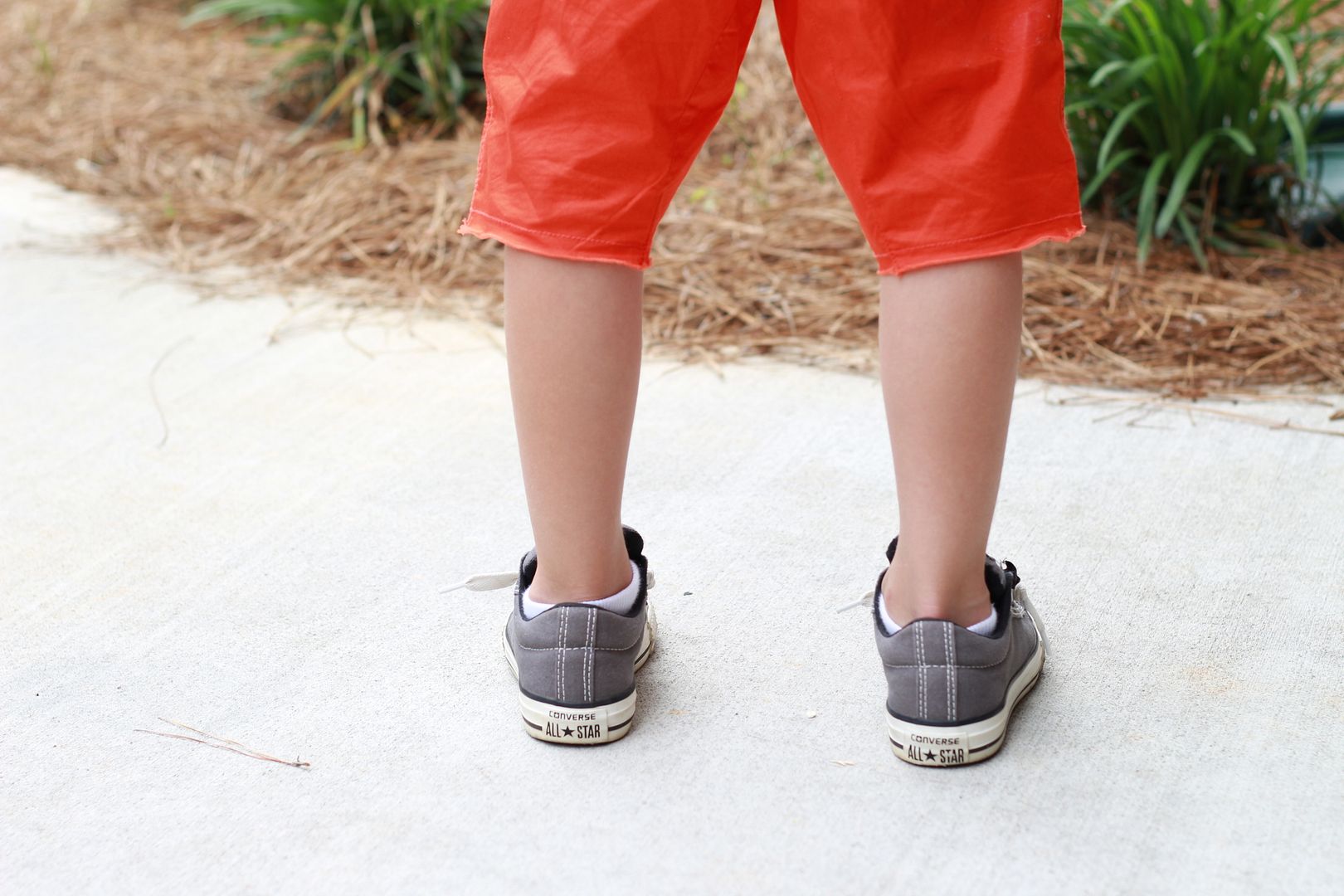 Stilettos and Diapers: No tie Converse from Shoe Carnival