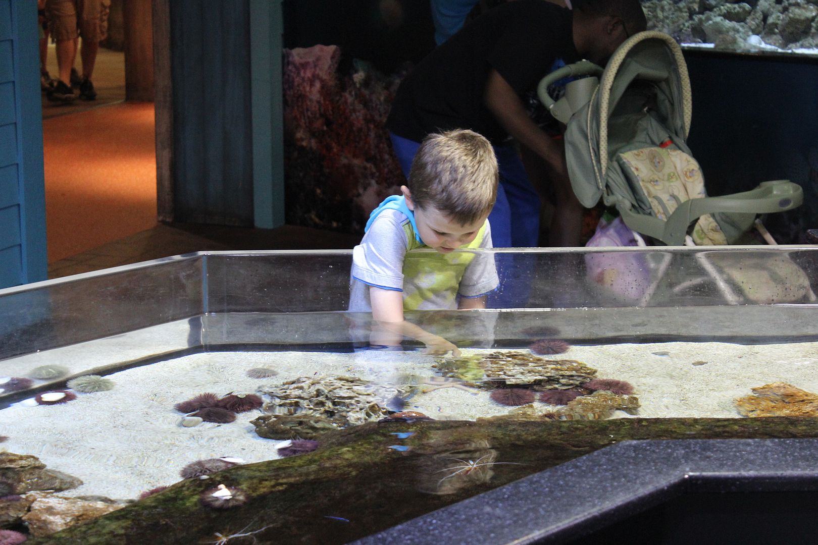 Stilettos and Diapers: Georgia Aquarium with kids