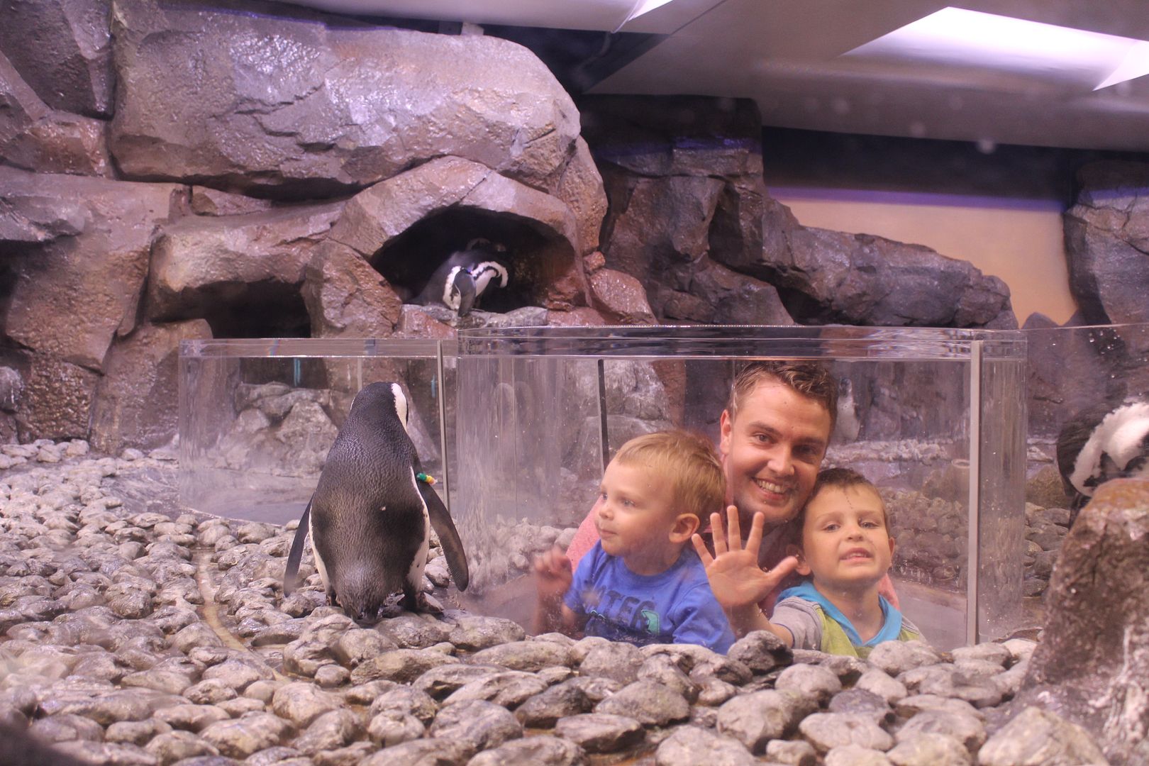 Stilettos and Diapers: Georgia Aquarium with kids