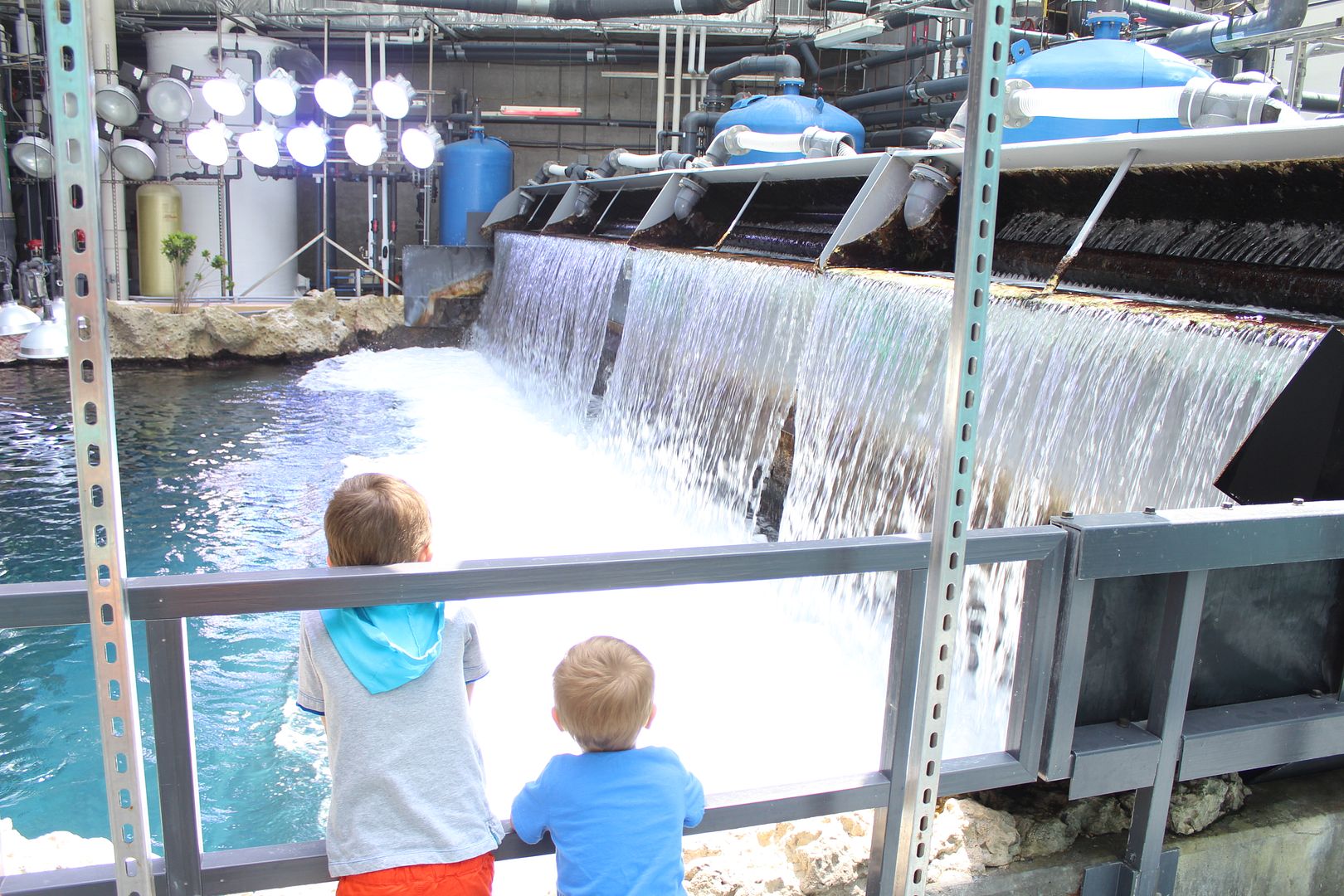 Stilettos and Diapers: Georgia Aquarium with kids