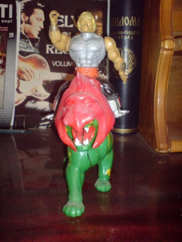 DSC006731.jpg?t=1294869495