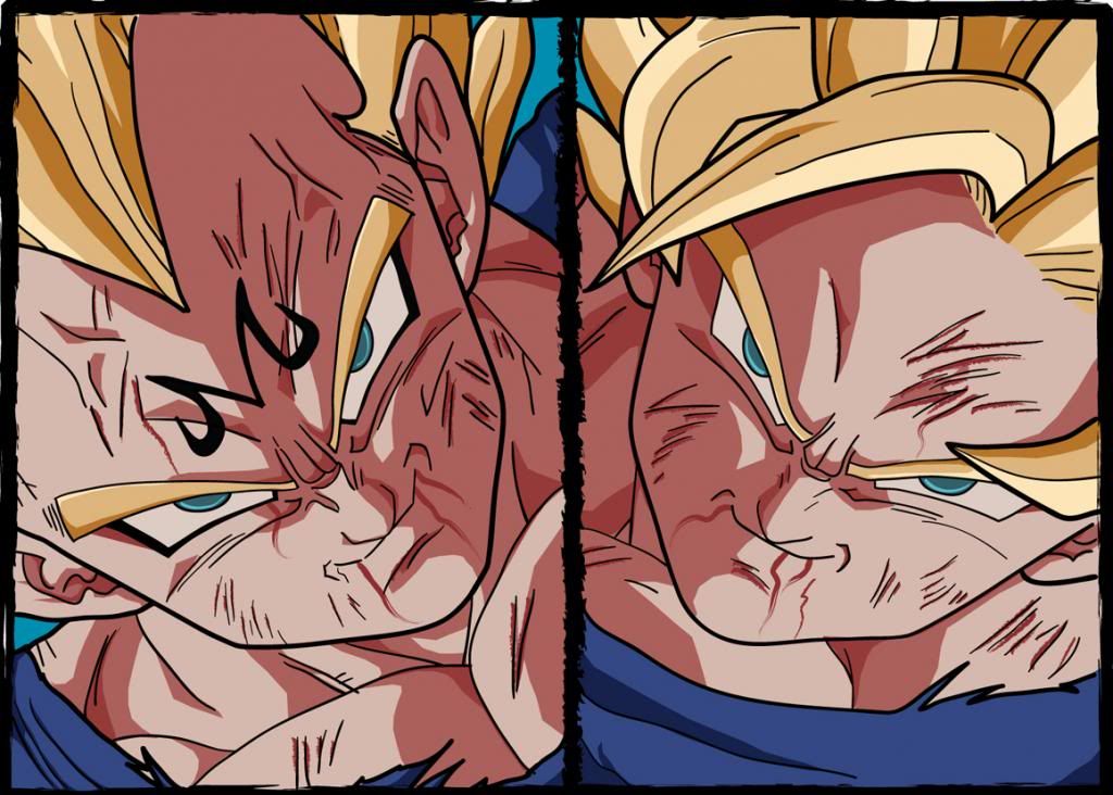 Vegeta_vs_Goku_by_RobyG-2.jpg