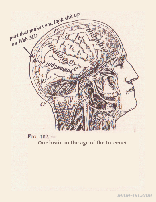 Our brain in the age of the Internet - Mom-101.com
