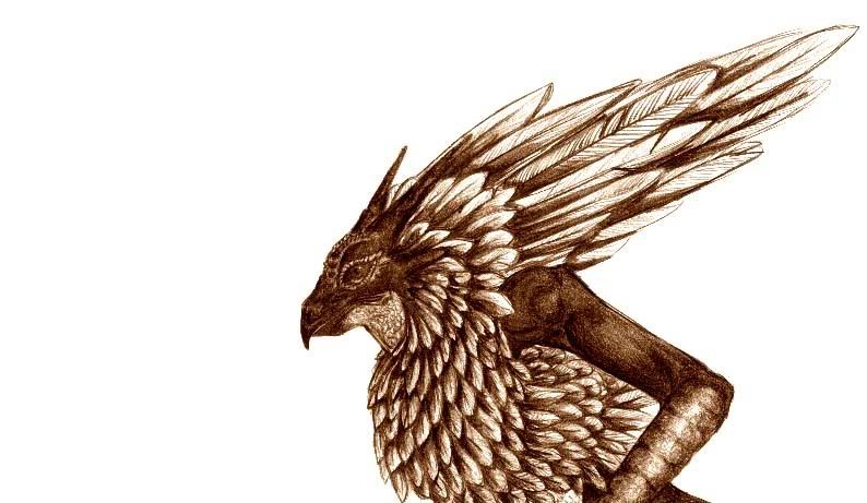 [PokeCommunity.com] Blaziken