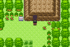 [PokeCommunity.com] Pokémo Gold Edition