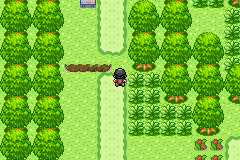[PokeCommunity.com] Pokémo Gold Edition