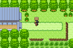 [PokeCommunity.com] Pokémo Gold Edition