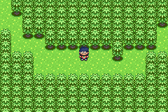 [PokeCommunity.com] Pokemon Eternal Legend