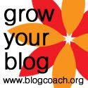 Blog Coach