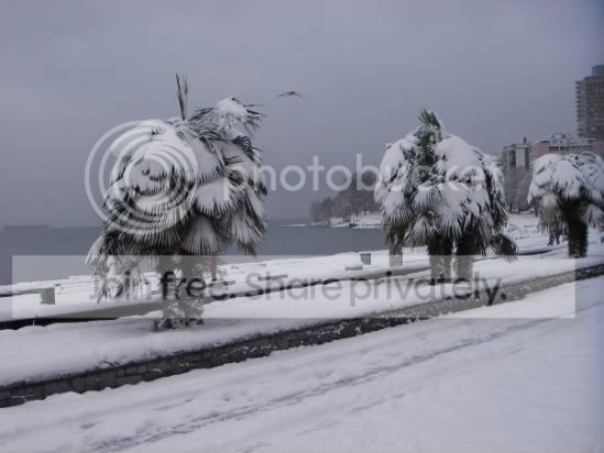 Vancouver_Dec14_08-1.jpg