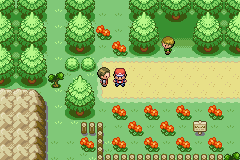 [PokeCommunity.com] [BETA 1 Available] Pokémon: Next Generation