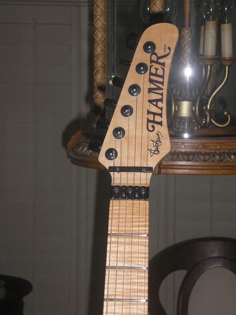 HamerSS3andWashburnSS80048.jpg