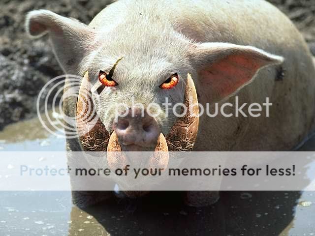 InfectedSchwein.jpg